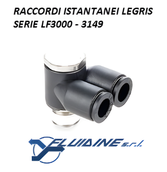Legris Raccordi istantanei 2 3149 04 10