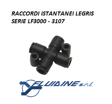 Legris Raccordi istantanei 3107 06 04