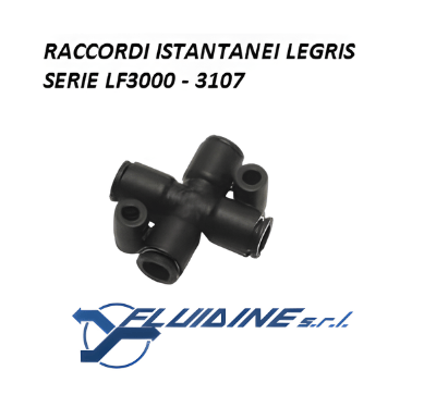 Legris Raccordi istantanei 3107 06 04