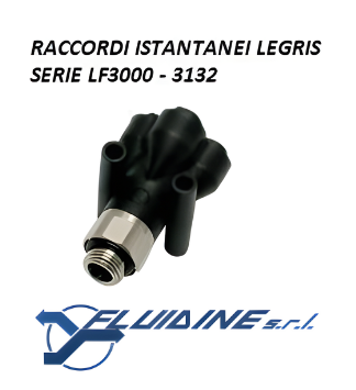 Legris Raccordi istantanei 3132 06 13