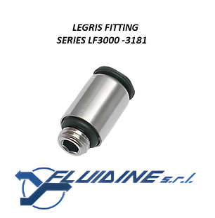 Legris Raccordi istantanei 3181 06 55