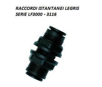 Legris Raccordi istantanei 3116 06 00