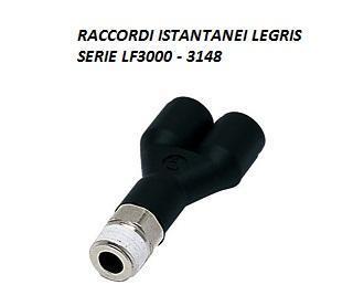 Legris Raccordi istantanei 3148 04 10