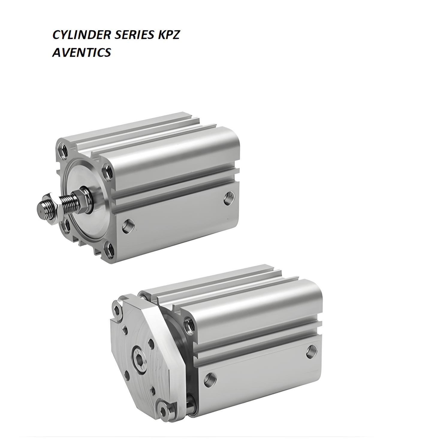 Aventics Attuatori R480057350