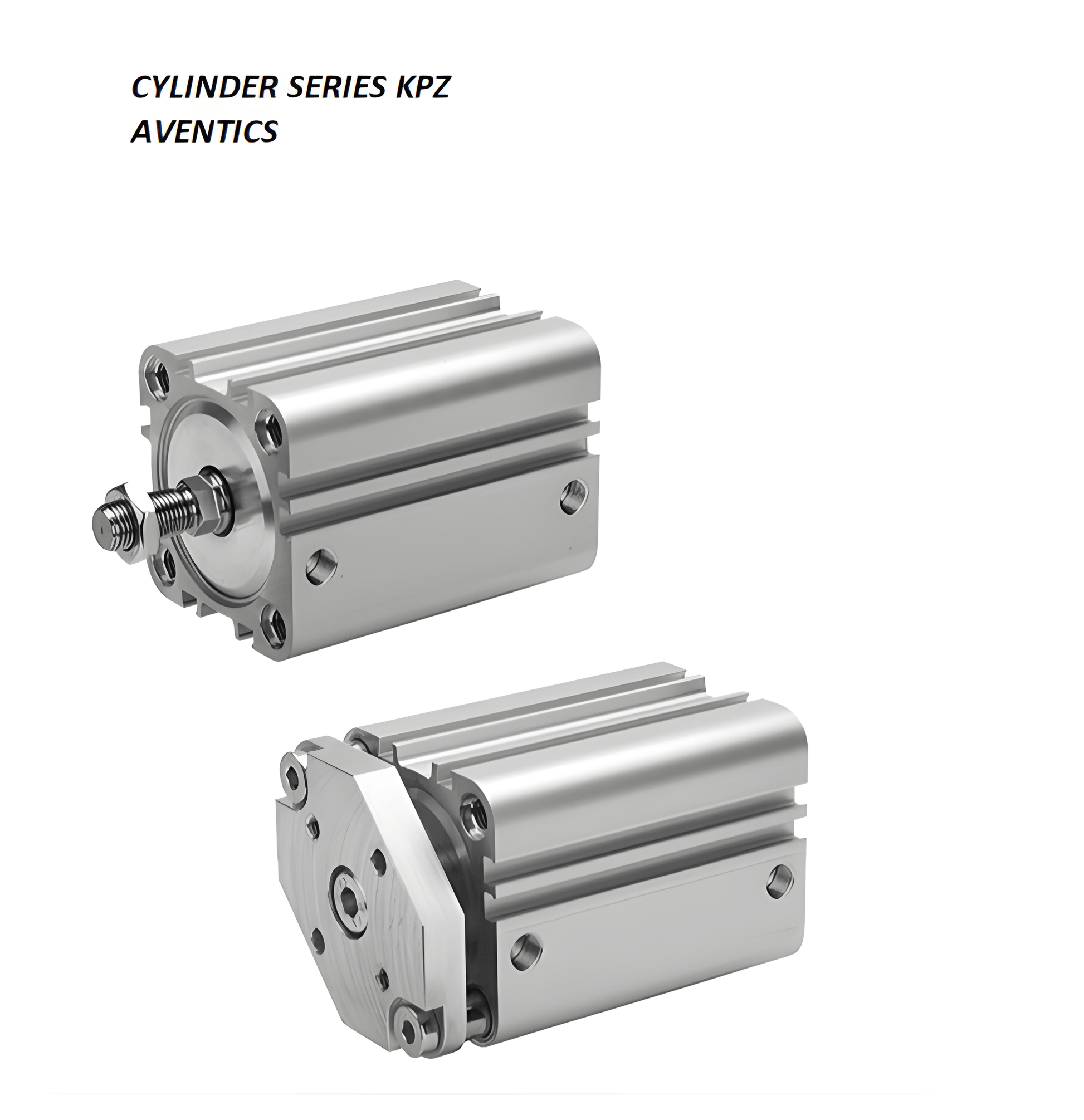 Aventics Attuatori R480057350
