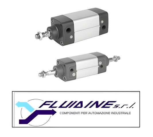 Aventics Attuatori R480144840