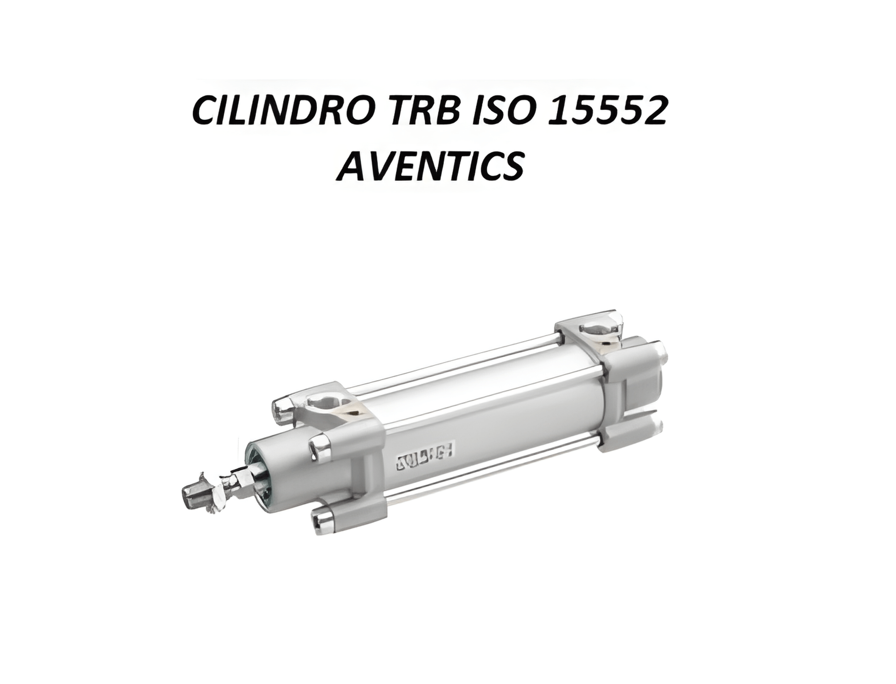 Aventics Attuatori R481622226