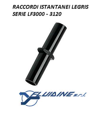 Legris Raccordi istantanei 2 3120 06 00