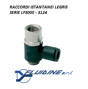 Legris Raccordi istantanei 2 3124 06 13