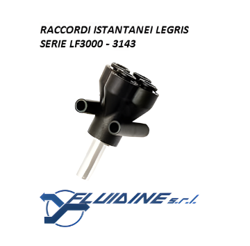 Legris Raccordi istantanei 3143 04 06