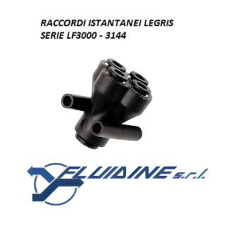 Legris Raccordi istantanei 3144 06 06
