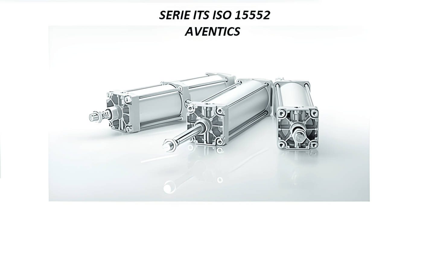 Aventics Attuatori R480682474