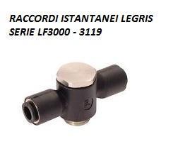 Legris Raccordi istantanei 2 3119 06 13